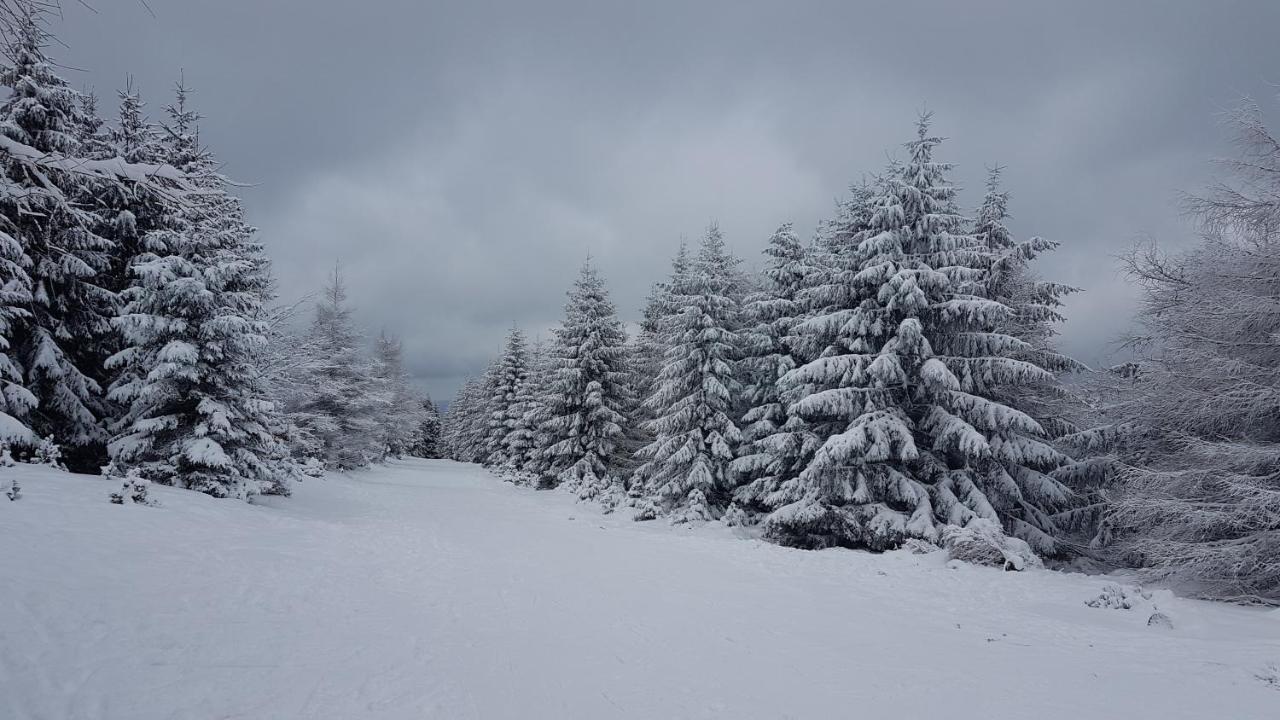 Dom Trzech Braci Ladek-Zdroj Exterior foto