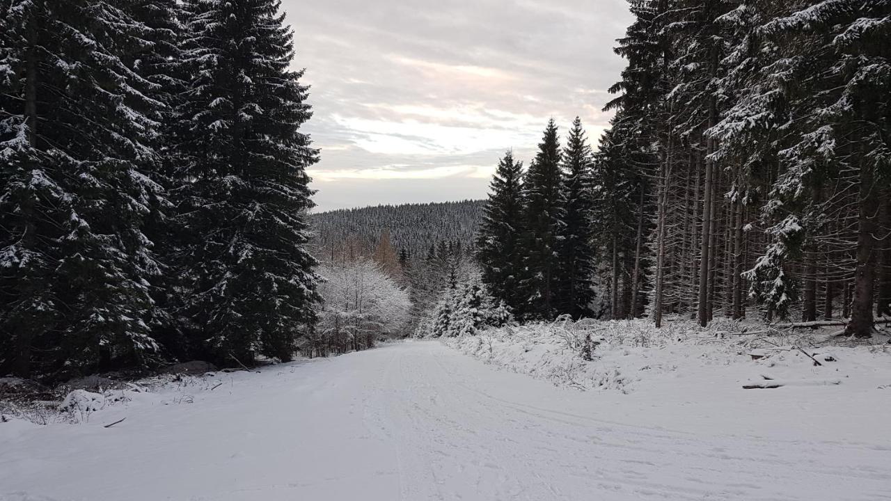 Dom Trzech Braci Ladek-Zdroj Exterior foto